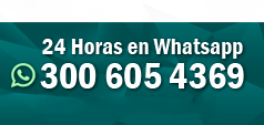 contáctenos por whatsapp